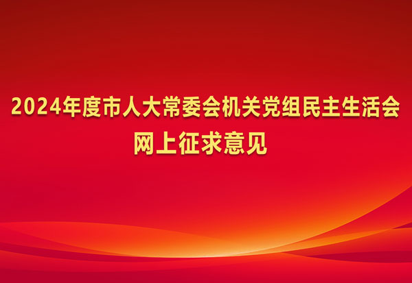 2024年度市人大常委会机关党组民主生活会网上征求意见